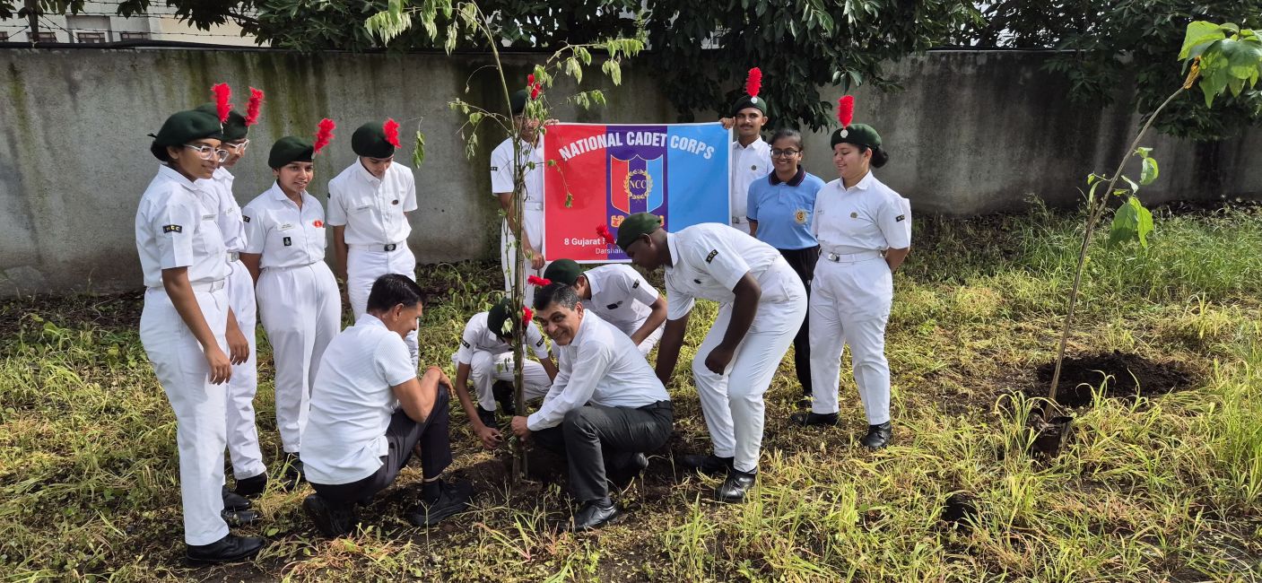 Photos of Tree Plantation Drive