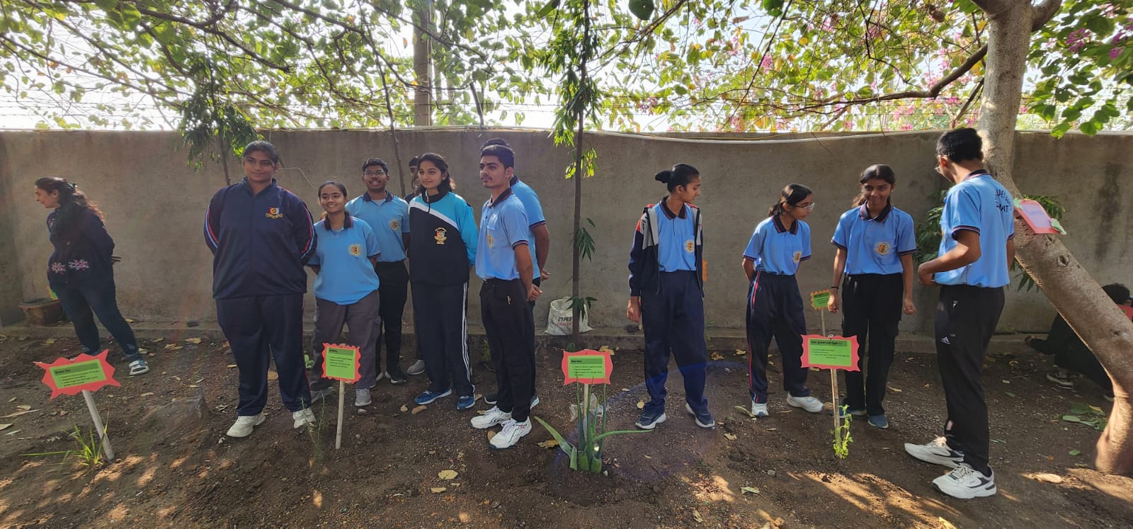 Photos of Herbal Tree Plantation Drive 