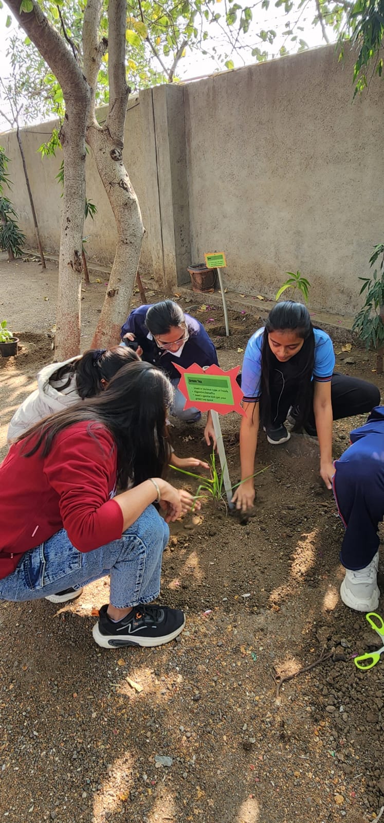 Photos of Herbal Tree Plantation Drive 